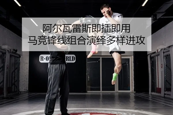 a-er-wa-lei-si-ji-cha-ji-yong-ma-jing-feng-xian-zu-he-yan-yi-duo-yang-jin-gong-2-832.jpg